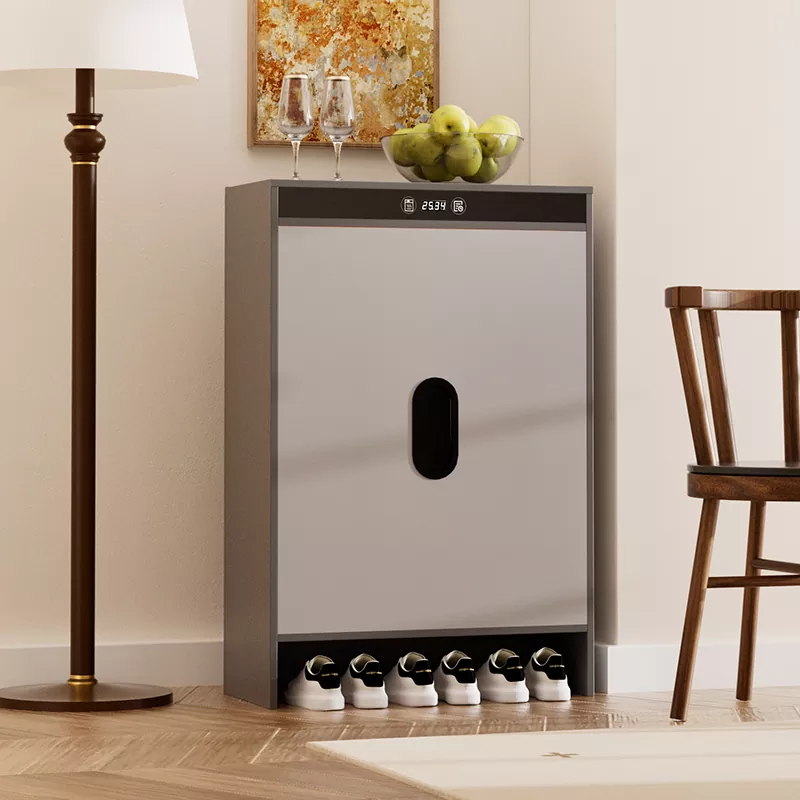 Графене электрлік жылыту уақыты кептіргіш аяқ киім шкафы