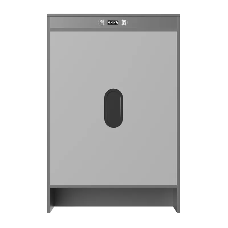 Графене электрлік жылыту уақыты кептіргіш аяқ киім шкафы