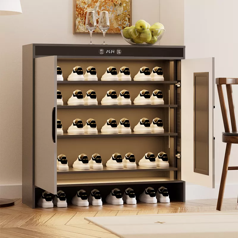 Графене электрлік жылыту уақыты кептіргіш аяқ киім шкафы